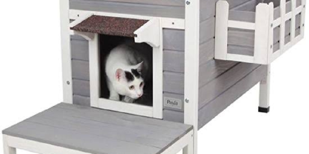 Can you move a cat house here and there?
